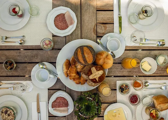 도미질 4* 투빈겐